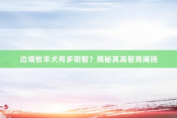 边境牧羊犬有多明智？揭秘其高智商阐扬