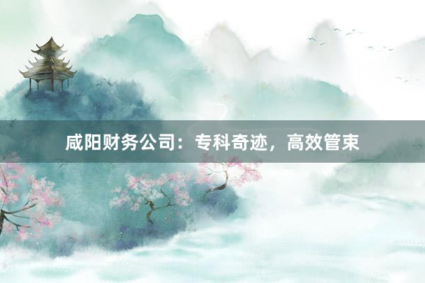 咸阳财务公司：专科奇迹，高效管束
